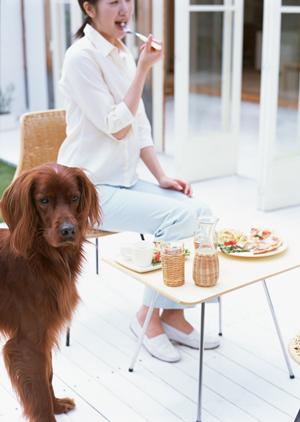 玄米の可能性に感動するレシピたち